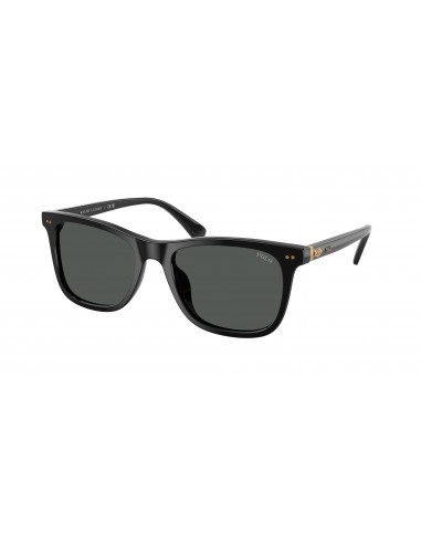 Polo 4220U Sunglasses En savoir plus