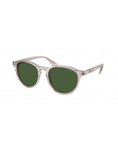 Polo 4221 Sunglasses Venez acheter