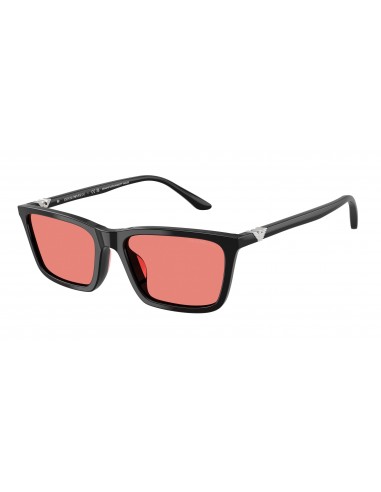 Emporio Armani 4239U Sunglasses vous aussi creer 