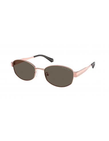 Michael Kors Monte Carlo 1161 Sunglasses l'évolution des habitudes 