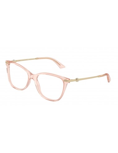 Jimmy Choo 3007HF Eyeglasses la chaussure