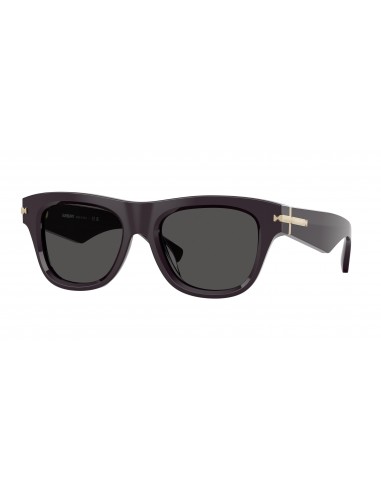 Burberry 4438U Sunglasses store